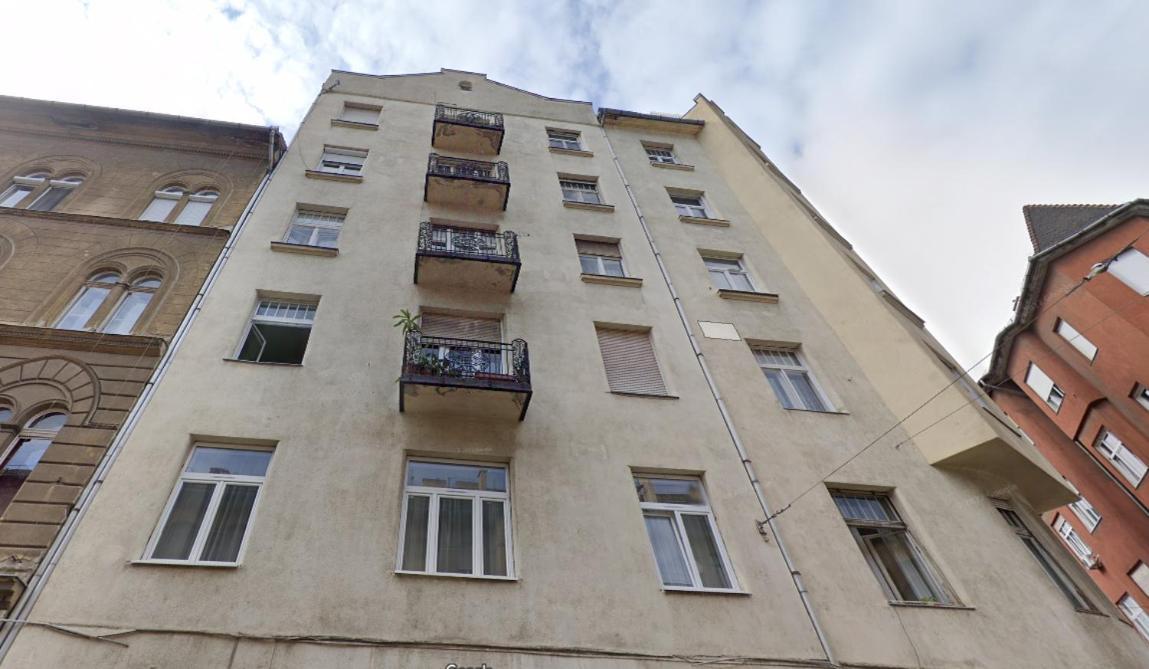 N49 Apartman *